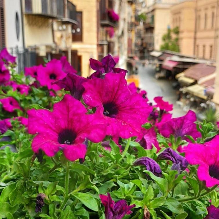Il Rosone Luxury B&B Palermo Zewnętrze zdjęcie